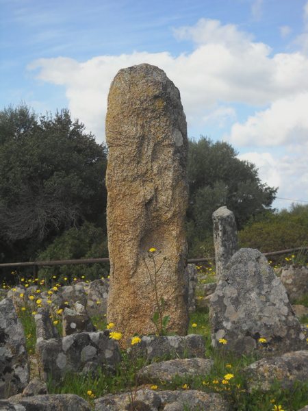 antiche pietre dalla Gallura...